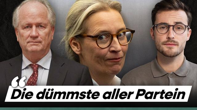 Ökonom Flassbeck: „DANN kommt die AfD an die Macht“