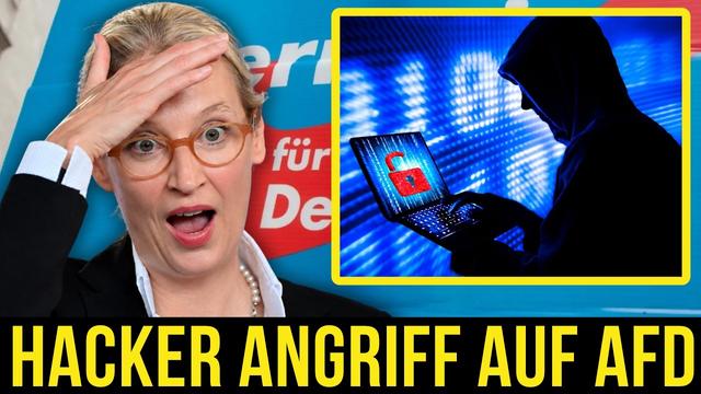 Panik in der Parteispitze: Was die gehackten AfD-Mails verraten!