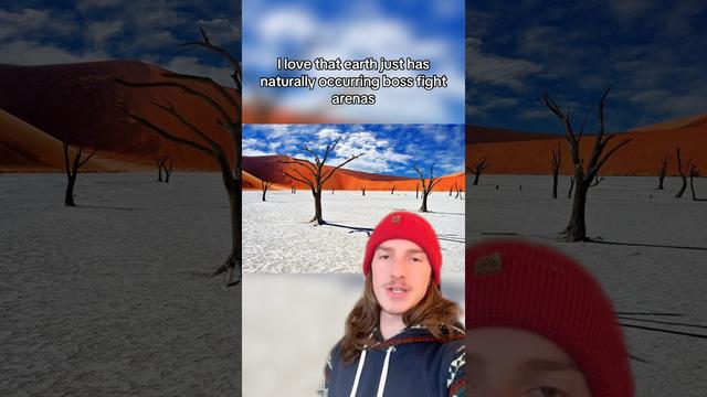 The Haunting Landscape of Deadvlei Marsh - Explained