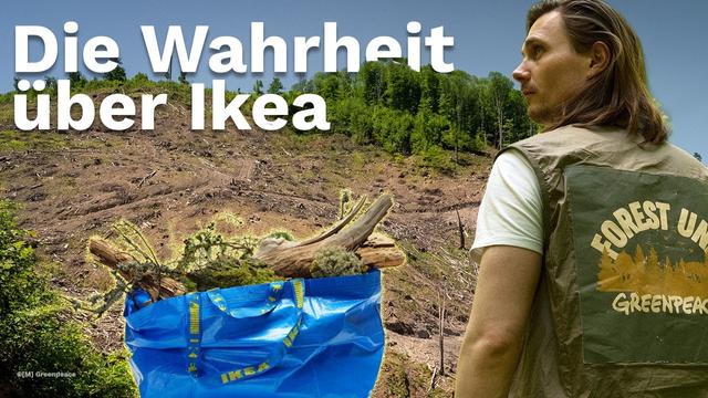 Greenpeace deckt auf: Wer zerstört Europas wertvollste Wälder? | Forest Unit x Moritz Jahn