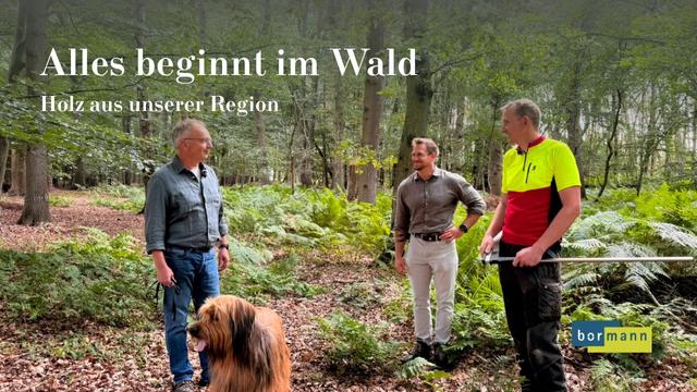 Alles beginnt im Wald – Holz aus unserer Region