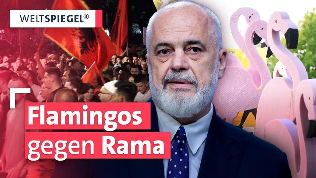 Flamingo-Revolution: Albaniens Aufstand gegen Korruption Weltspiegel