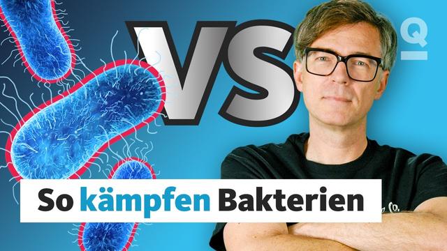 Bakterien gegen Mensch: Wer wird gewinnen? | Quarks Dimension Ralph