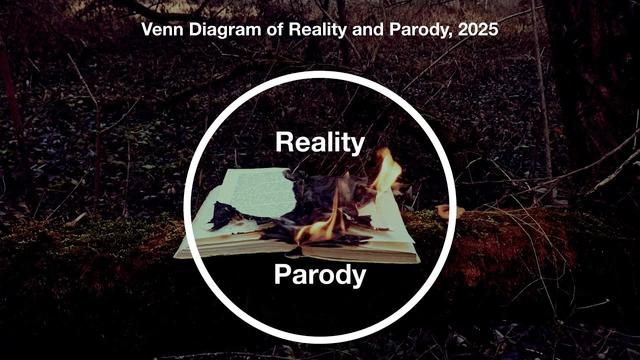 You Probably Aren't Going Insane, Just Everything Else Is