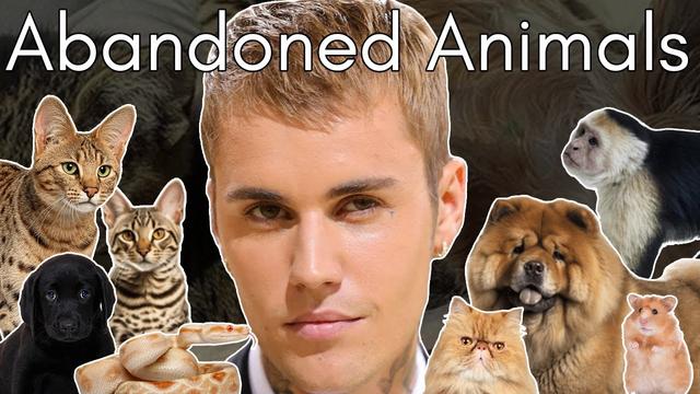 What Happened to Justin Bieber's Pets? (Pop Star With Pet Problems)