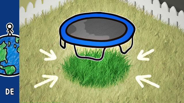 Warum wächst das Gras unter deinem Trampolin besser?