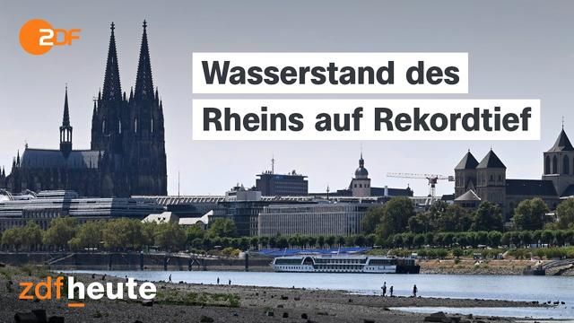 Niedrigwasser am Rhein: "Viele große Schiffe können gar nicht mehr fahren"