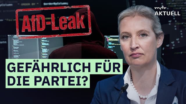 Nach Hackerangriff: Was wirklich in den AfD-Mails steht | MDR AKTUELL Talk