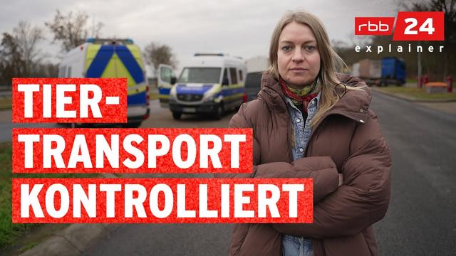 Tiertransportkontrollen mit der Polizei: Wie läuft das ab? | rbb24 explainer