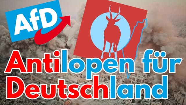 AfD-Leaks zeigen unselige Zusammenarbeit