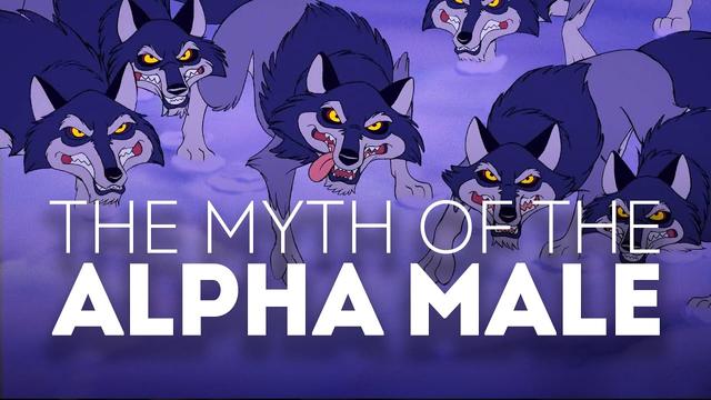 The Myth of the Alpha Male