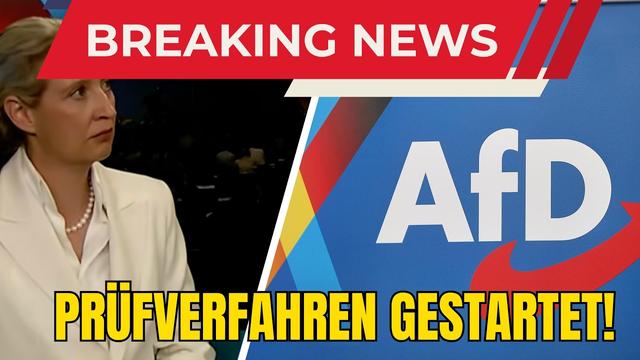 EILMELDUNG! AfD WIRD GEPRÜFT! Naja, zumindestens in Europa, das ist schonmal was.