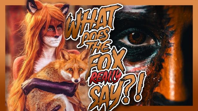 What does the FOX really say?! || #respectnature