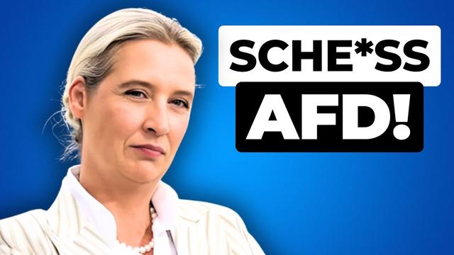 Blamage für AfD und ARD?! Alice Weidel im Sommerinterview