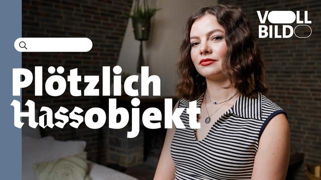 Wer steckt hinter den rechten Shitstorms? ► VOLLBILD