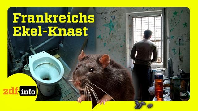 Kakerlaken, Ratten, Gewalt: Die Folgen überfüllter Gefängnisse in Frankreich | ZDFinfo Doku