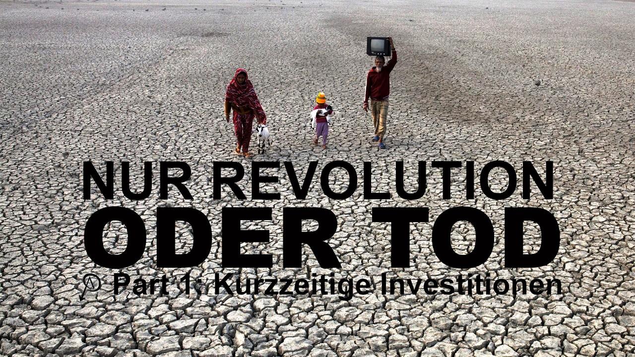 Nur Revolution oder Tod - Part eins: Kurzfristige Investitionen