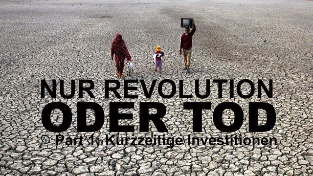 Nur Revolution oder Tod - Part eins: Kurzfristige Investitionen