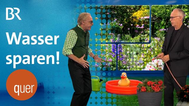 München dreht den Hahn ab: Gieß-Verbot im Garten, Freibrief für Brauereien? | quer vom BR