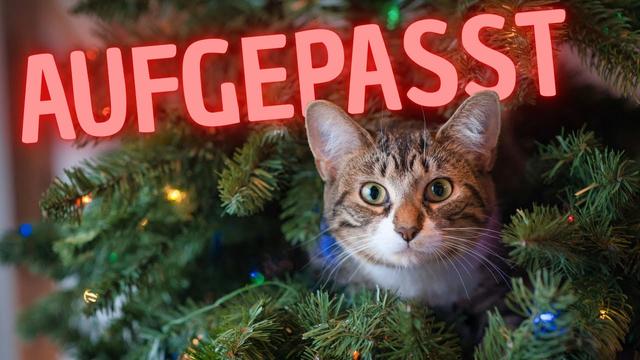 Was Viele Weihnachten übersehen und du wahrscheinlich auch