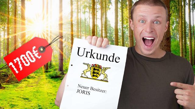 Ich habe für ___€ den günstigsten Wald gekauft.