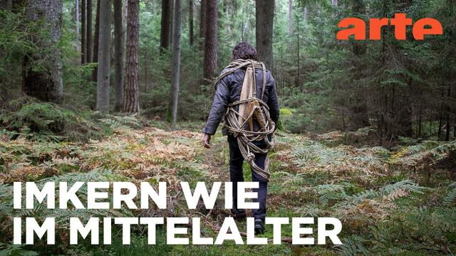 Piotr und die Waldbienen | Die Zeidler von Augustów Reupload | ARTE Fernweh