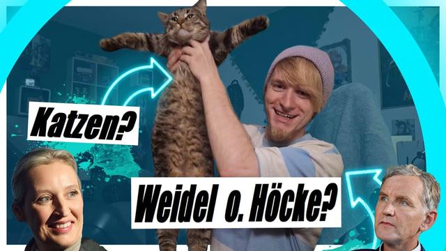 Geburtstags Q&A - Höcke oder Weidel? 