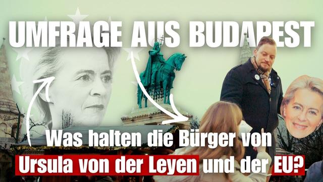 DK🇩🇪-Umfrage aus Budapest🇭🇺: Was halten die Bürger von Ursula von der Leyen und der EU? 😉