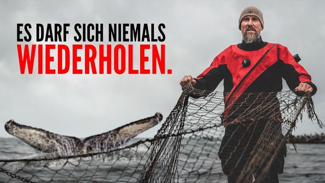 Damit sich das Schicksal vom Buckelwal nicht wiederholt.