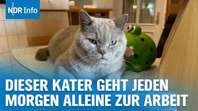 Diese Tierarztpraxis hat einen tierischen Mitarbeiter | NDR Info