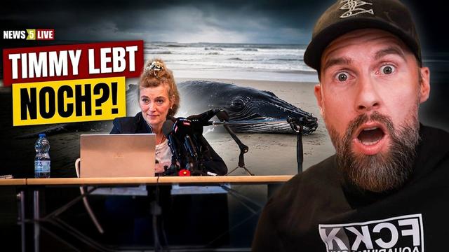 Die Buckelwal-Pressekonferenz war ein FIEBERTRAUM | Robert Marc Lehmann reagiert