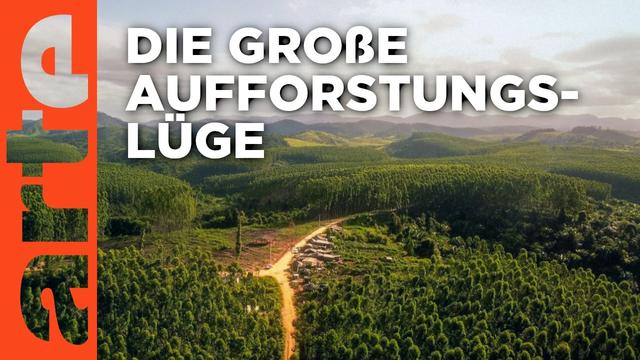 Retten Bäume den Planeten? | Doku HD | ARTE