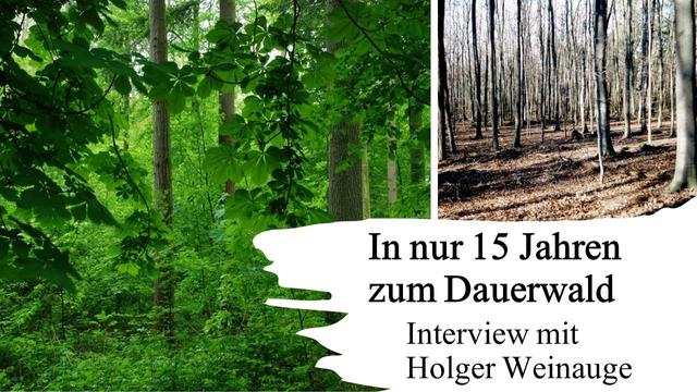Dauerwald in nur 15 Jahren - Interview mit Holger Weinauge