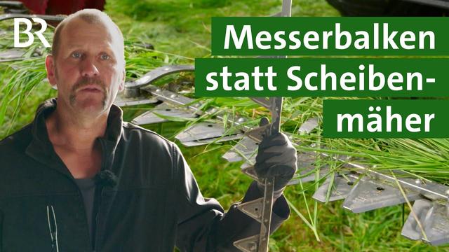 Umweltfreundliche Mahd: So schützen Landwirte Insekten auf der Wiese | Unser Land | BR