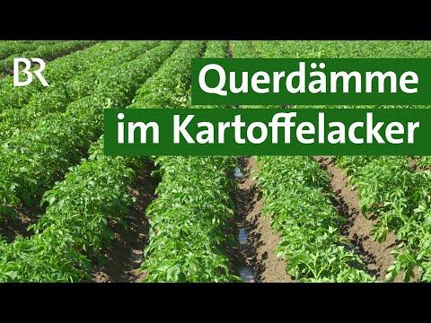 Schutz vor Starkregen: Querdämme im Kartoffelacker | Erosion | Landwirtschaft | Unser Land | BR
