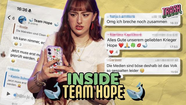 Wir waren in einer “Wal-Retter”-Gruppe auf WhatsApp - so schlimm war es!