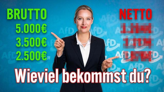 AfD-STEUERPOLITIK: Brutto-Netto-Gehaltscheck