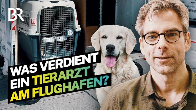 Tierarzt an der Grenzkontrolle: Gehalt und Job am Flughafen München | Lohnt sich das? | BR