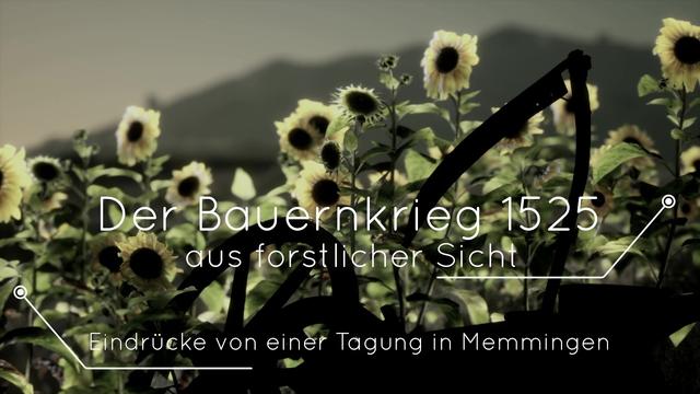 Der Bauernkrieg 1525 - erklärt