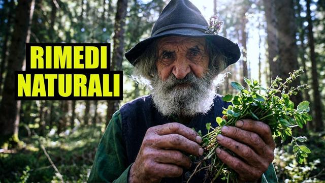 L'uomo selvatico che raccoglie erbe spontanee