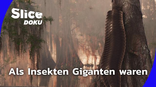 Die vergessene Urzeit | Folge 1: Als Insekten die Erde dominierten | Slice Doku