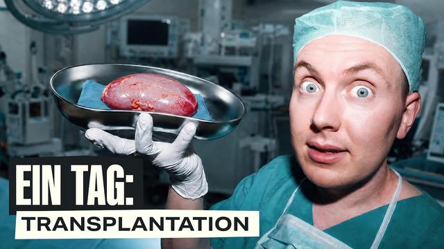 So transplantiert man ein Organ!