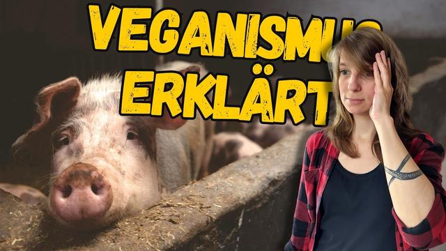 Vegan kurz erklärt? - Das steckt hinter Veganismus