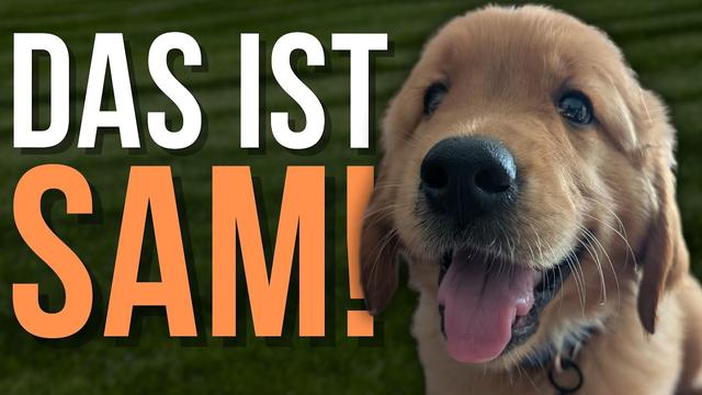 Welcome Sam! Das neuste Rudelmitglied stellt sich vor