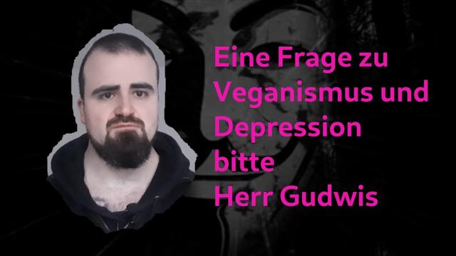 Eine Frage bitte Herr Gudwis