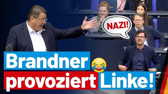 Stephan Brandner provoziert Linke! - AfD-Fraktion im Bundestag