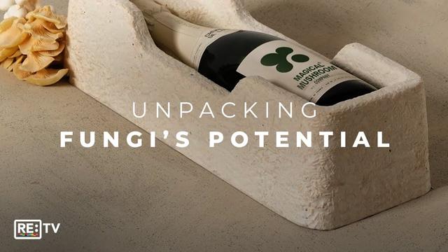 Magical Mushroom Company: Replacing Plastic Packaging