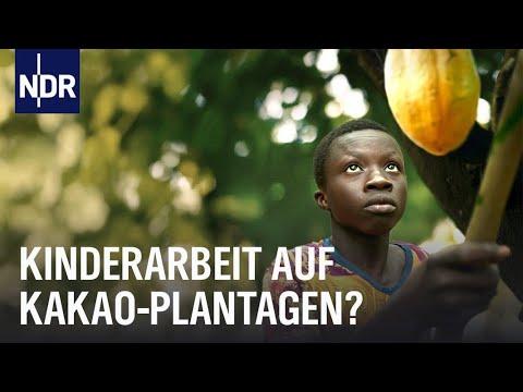 Faire Schokolade - ein Märchen? | Doku | NDR Story