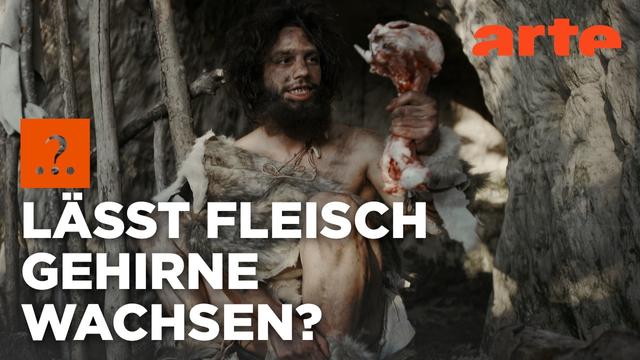 Haben wir schon immer Fleisch gegessen? | Stimmt es, dass ...? | ARTE