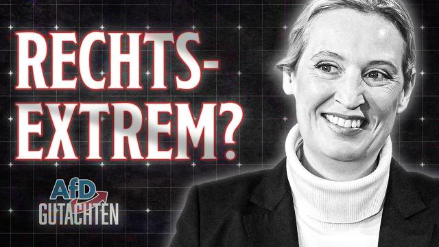 Verfassungswidrig oder nicht? Die Wahrheit über das AfD-Gutachten